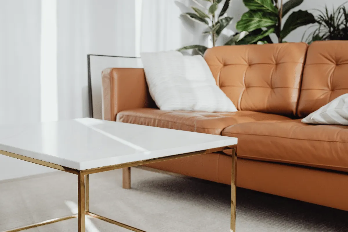 Leather sofa upholstery
